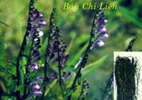 Nano Fucomin Học Viện Quân Y