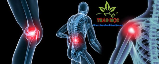 Viên khớp Namvian giảm đau nhức xương