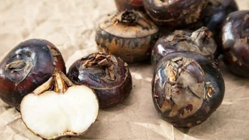 Món ăn thuốc hỗ trợ F0 trong mùa dịch