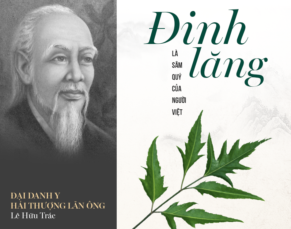 Tăng cường thể lực, chống loãng xương, phòng ngừa bệnh tiểu đường cùng đinh lăng