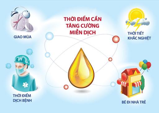 Đông trùng hạ thảo và tác dụng tăng cường hệ miễn dịch hiệu quả