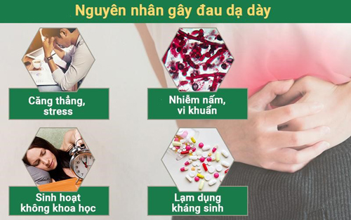 Đau dạ dày là gì? Dấu hiệu, nguyên nhân và các biến chứng?