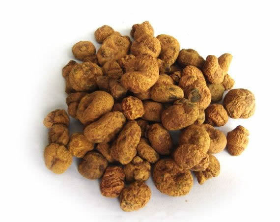 Bài thuốc Đông y chữa đau dạ dày tốt nhất