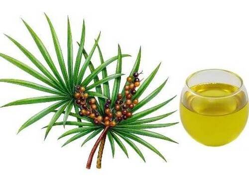 Thảo dược nào tốt nhất hiện nay cho người phì đại tiền liệt tuyến?