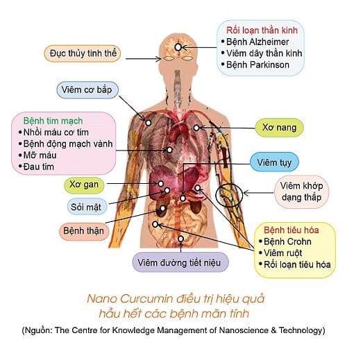 TPCN Nano Rocori, Phòng ngừa ung thư, Giảm tác hại ung thư