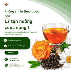 Không chỉ là thảo dược mà là sự tận hưởng cuộc sống