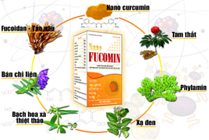 THÀNH PHẦN NANO FUCOMIN HỌC VIỆN QUÂN Y