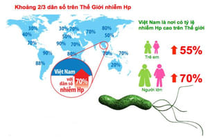 Tổng hợp những kiến thức cần biết về vi khuẩn HP gây bệnh dạ dày