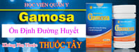 Thanh Đường Gamosa Học Viện Quân Y 60 viên | vienquany.com