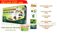 Gói 12 Hộp Nano Curcumin Tam Thất Xạ Đen Plus Chính Hãng | vienquany.com