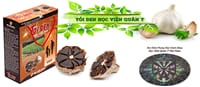 Tỏi Đen Học Viện Quân Y - hộp 500g | vienquany.com